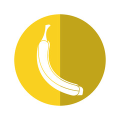 banana appetizing fruit nature yellow circle shadow vector illustration eps 10