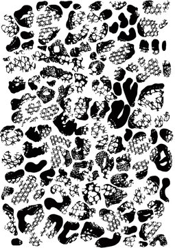 Leopard and lace pattern