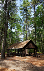 Fototapeta na wymiar Park group shelter in woods. Vertical.