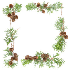 Floral frame Christmas background Thuja branches cones