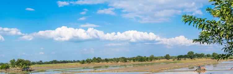Beautiful blue sky and white cloud with the basics of rice production in Asia. Panorama Effect.