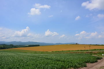 Fototapeta na wymiar Landscape views in Japan.