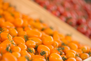 Close-up detail on a market stall of fresh tomatoes, with focus on orange cherry tomatoes in the foreground. Organic food concept.