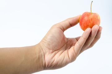 Isolated of apple in hand on white background