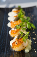 Delicious pan seared organic scallops, served with celery puree, caviar, parsley and white wine cream sauce. Presented professionally and shot with a shallow depth of field.