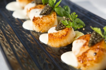 Delicious pan seared organic scallops, served with celery puree, caviar, parsley and white wine cream sauce. Presented professionally and shot with a shallow depth of field.