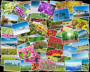 Fototapeta na wymiar Collage of various nature photos