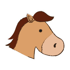 isolated horse cartoon icon vector illustration graphic design