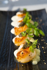 Delicious pan seared organic scallops, served with celery puree, caviar, parsley and white wine cream sauce. Presented professionally and shot with a shallow depth of field.