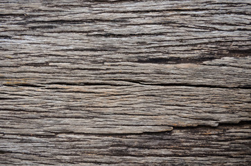 Rustic wood background. Old plank. Taxture wood Background.