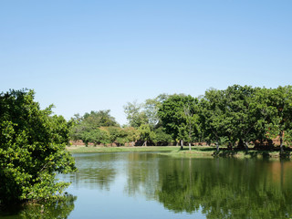 Green park in the daytime sky
