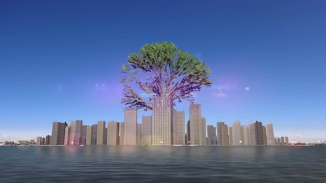 Growing Trees in the Urban Environment