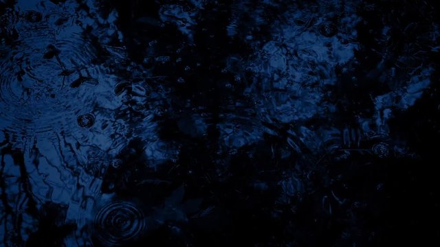 Rain Splashes Pool In The Woods At Night