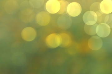 Defocused yellow-green nature bokeh magic light with copy space