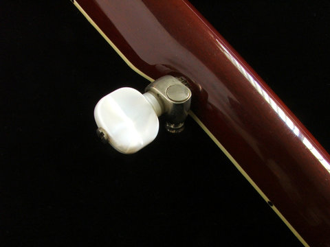 Banjo - Five String