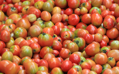fresh tomato selling at street shop in nepal