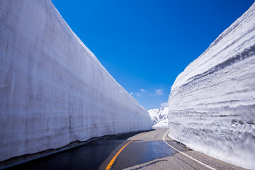Naklejka premium Road between Snow wall at Tateyama Kurobe Alpine Route, Japan destination travel