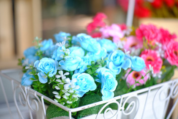 flower in garden nature