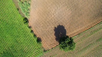Aerial View Of Farmland, drone view of farmland landscape nature