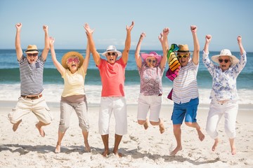 Obraz premium Portrait of senior friends at the beach