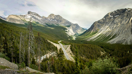 Road Through the Rockies
