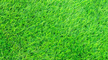 Green grass texture or Green grass background. Top view of artificial green grass for golf course and soccer field. Abstract artificial green grass pattern for design with copy space.
