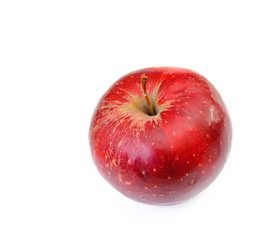 one apple isolated on white backdrop