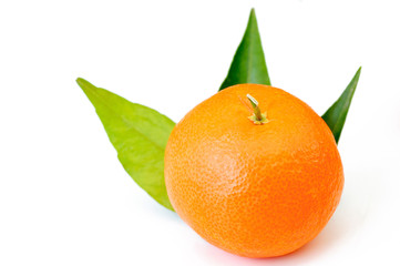 single tangerine or mandarin isolated
