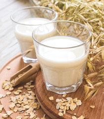 Two glasses of milk and oat spikelets on rustic table