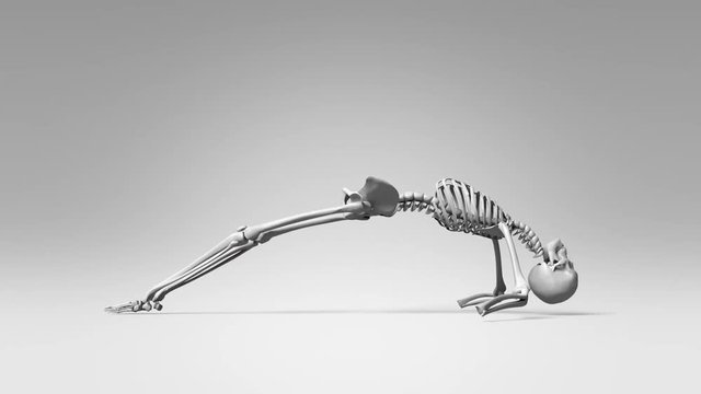 Upward Facing Pose Of Human Skeletal