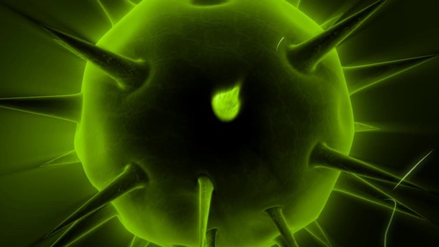 Close-Up Virus And Bacteria Animation