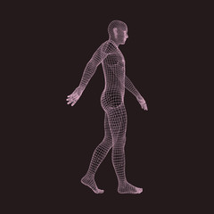 Walking Man. 3D Human Body Model. Geometric Design.