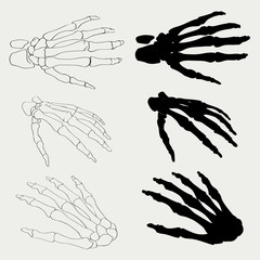 Human hand bones anatomy isolated vector illustration. Black and white   for medical or Halloween design.   bo