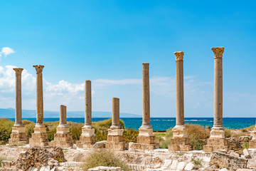 Fototapeta premium Al Mina archaeological site in Tyre, Lebanon. It is located about 80 km south of Beirut and has led to its designation as a UNESCO World Heritage Site in 1984.