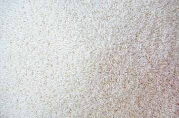 Grain white rice