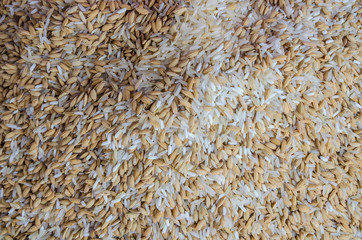 Raw rice background