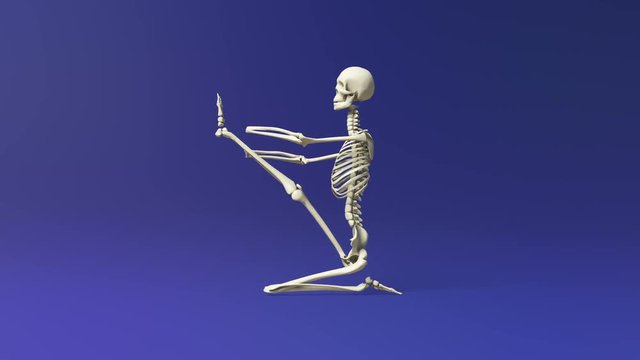 Yoga Heron Pose Of Human Skeletal