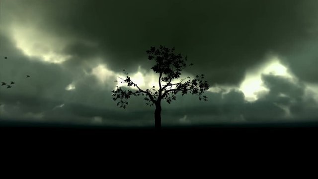 Growing Tree Timelapse With Animated Clouds