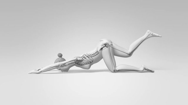 Extended Puppy Pose Of Stretching Female With Visible Skeleton