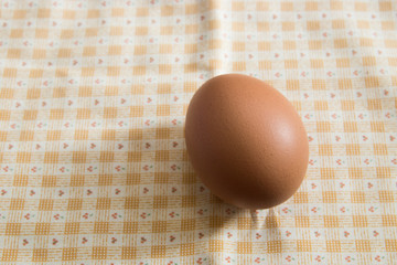 A fresh egg in the Tablecloth