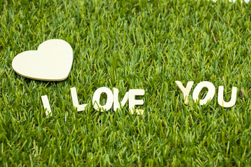 I love you lettering on green grass background