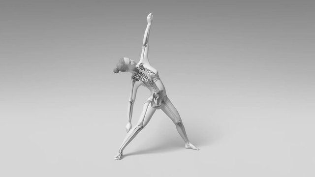 Yoga Triangle Pose Of Stretching Female With Visible Skeleton