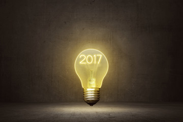 2017 New Year Concept