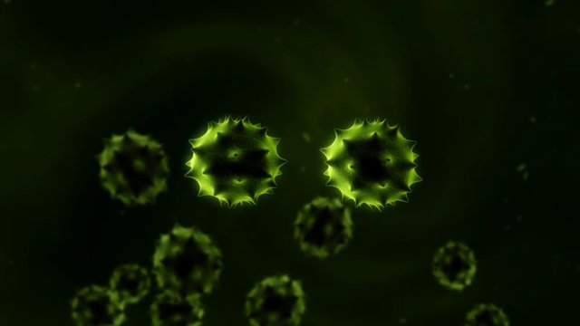 Dividing Virus 3D Animation