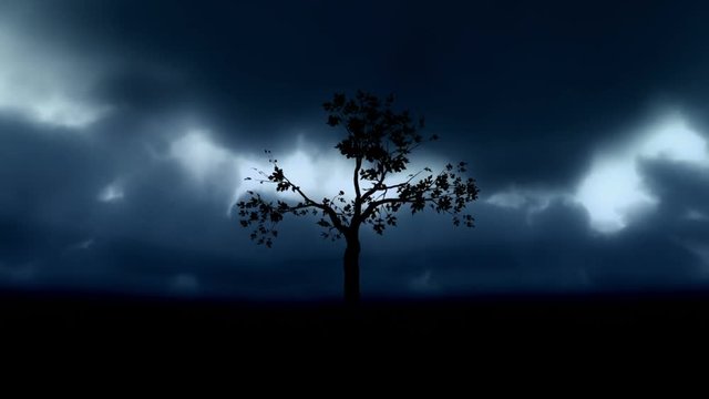 Growing Tree Timelapse With Scary Clouds
