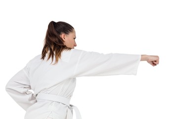 Female fighter performing karate stance