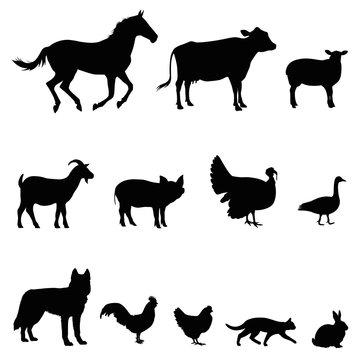 farm animal vector illustration set
