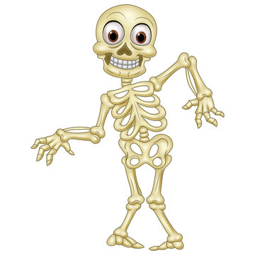 Halloween skeleton