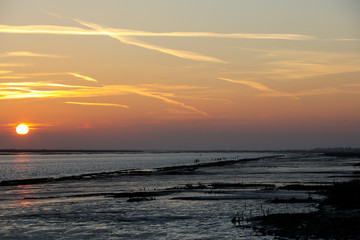 Fototapeta premium île d'oléron