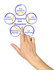 Enterprise Risk Management.